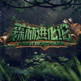 森林进化论第20230919期上