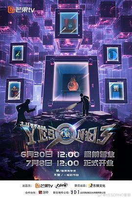 YES OR NO第三季第20240819期上