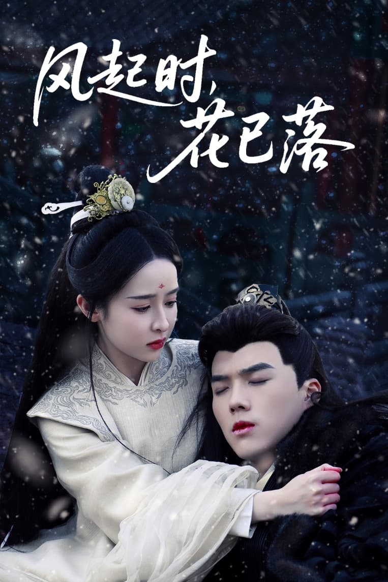 风起时，花已落第3集